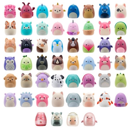 Squish-a-longs 2,5 cm Blind 2-pak - flere varianter fra Squishmallow